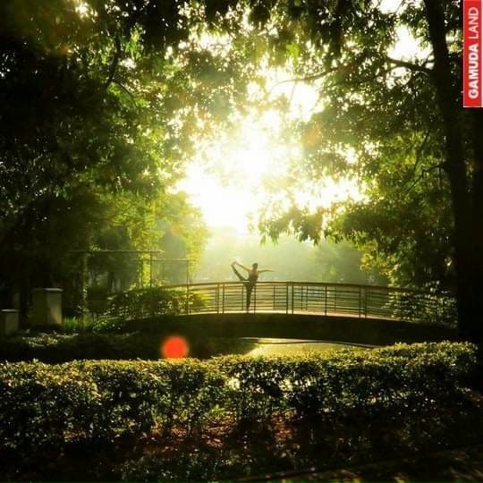SỨC MẠNH CHỮA LÀNH TỪ THIÊN NHIÊN - CELADON CITY