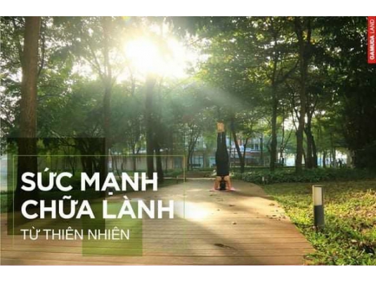SỨC MẠNH CHỮA LÀNH TỪ THIÊN NHIÊN - CELADON CITY
